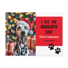 Foto de Natal Pet Foto de Pet da Lista Engraçada