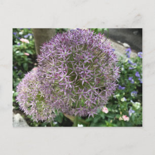 Cartão Postal Foto de Nova Iorque NYC das Flores Roxas bonito