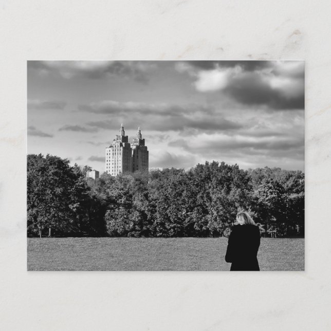 Cartão Postal Foto de Paisagem do Parque Central Negro e Branco (Frente)
