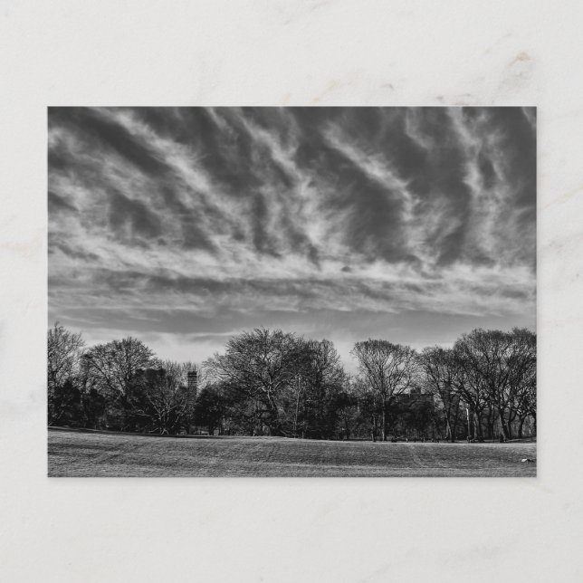 Cartão Postal Foto de Paisagem Negra e Branca do Central Park (Frente)