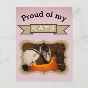 Cartão Postal Foto de Rato de Pet Personalizado