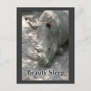 Cartão Postal Foto de Rhino com texto "Beauty Sleep"