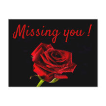 Foto de rosa vermelha romântica.