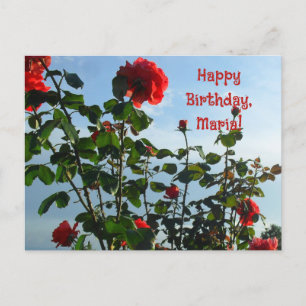 Cartão Postal Foto de rosas vermelhas cumprimentos de aniversári