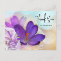 Foto de um Lindo Crocus Roxo de Primavera Obrigado