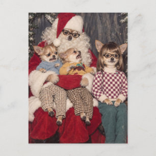 Cartão Postal Foto desajeitada de Natal de Chihuahua com Papai N