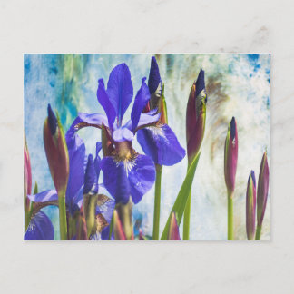 Cartão Postal Foto do abstrato Iris
