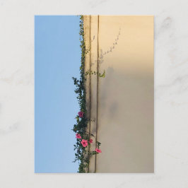 Cartão Postal Foto do Momento Calmo