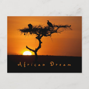 Cartão Postal Foto do pôr do sol Romântico Africano Dream com 
