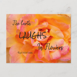 Cartão Postal Foto do Rosa de Flor de Blend Amarelo Pêssego