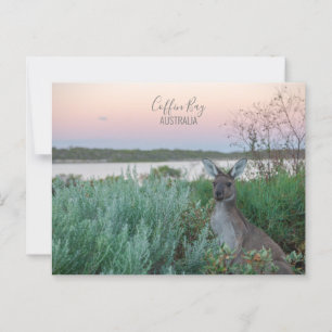 Cartão Postal Foto do Sunset Coffin Bay Kangaroo, Austrália