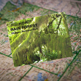 Cartão Postal Foto do Viagem da Floresta Chuva