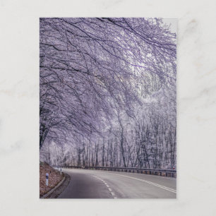 Cartão Postal Foto do Viagem da Wonderland de inverno
