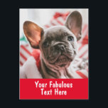 Cartão Postal Foto e texto personalizados<br><div class="desc">Cartão-postal personalizado</div>