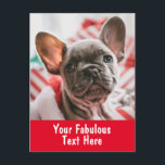 Cartão Postal Foto e texto personalizados<br><div class="desc">Cartão-postal personalizado</div>