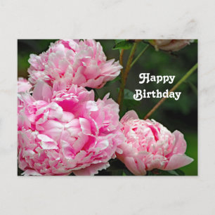 Cartão Postal Foto Floral de Peões Rosa bonito Aniversário