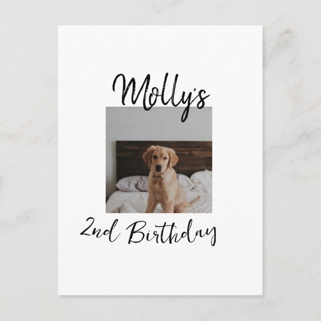 Cartão Postal Foto moderna simples de aniversário de animal de e (Frente)