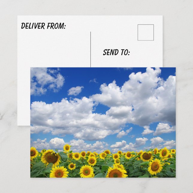 Cartão Postal Foto Personalizada Customizada  (Frente/Verso)