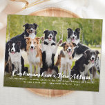 Cartão Postal Foto Personalizada De Cão De Pet Personalizada, Mo<br><div class="desc">🎉 🐾 nos mudamos! 🐾 nossos humanos encontraram um novo lugar para pegar paus e tirar sonecas, e não podíamos esperar para compartilhar a notícia! Anunciando nosso adorável anúncio móvel apresentando seus melhores amigos! 📸 Foto para Design: Capture o encanto de seus companheiros caninos com um layout de foto de...</div>