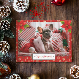 Cartão Postal Foto Personalizada de Natal