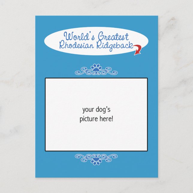 Cartão Postal Foto personalizada! Maior Ridgeback da Rodésia do  (Frente)