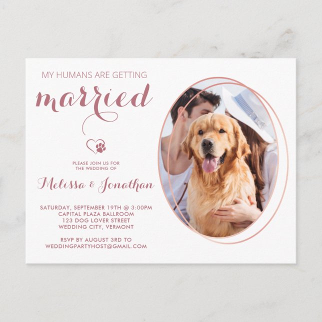 Cartão Postal Foto Pet Orçamento Personalizar Rosa de Casamento  (Frente)