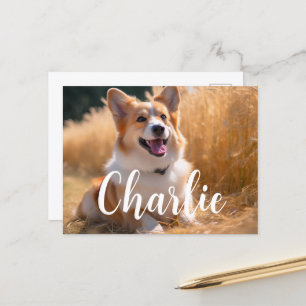 Cartão Postal Foto Pet Personalizada