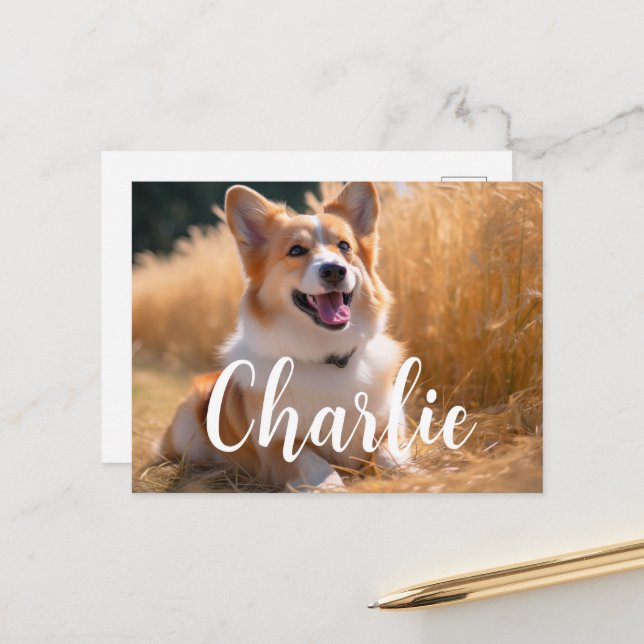 Cartão Postal Foto Pet Personalizada (Frente/Verso In Situ)