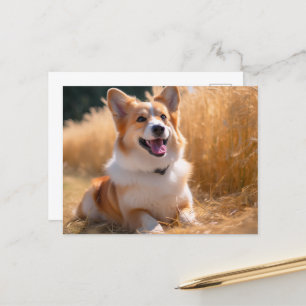 Cartão Postal Foto Pet Personalizada
