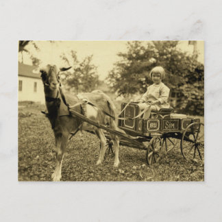 Cartão Postal Foto Vintage - "Carrinho de Capa" - Cartão-postal