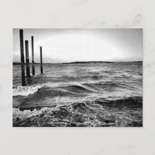 Cartão Postal fotografia a preto e branco (Frente)