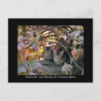 Fotografia bonito de gatos e videiras espanhóis