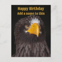 Fotografia da águia-marinha de Steller, personaliz