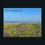 Cartão Postal Fotografia da grama da praia de Port Aransas Texas<br><div class="desc">Bela fotografia do oceano da grama da praia e dunas de areia de Port Aransas no Texas. Um ótimo cartão postal para um texano que ama a Ilha Mustang no verão. Uma fotografia de viagem costeira em um dia lindo.</div>