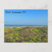 Fotografia da grama da praia de Port Aransas Texas