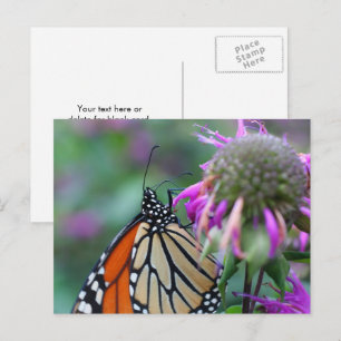 Cartão Postal Fotografia da Natureza com Borboleta Monarca
