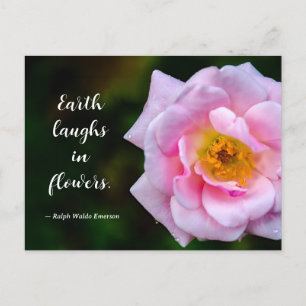 Cartão Postal Fotografia da Natureza de Flor Rosa com Gotículas 