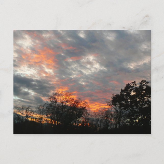 Cartão Postal Fotografia da paisagem solar do inverno (Frente)
