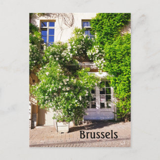 Cartão Postal Fotografia da rua Bruxelas Bélgica