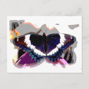 Cartão Postal Fotografia de Abstrato de Borboleta 1