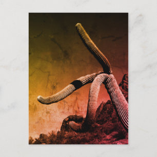 Cartão Postal Fotografia de Belas Artes Saguaro Cactus