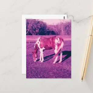 Cartão Postal Fotografia de cinema com Belo Cavalo de Tinta Expi