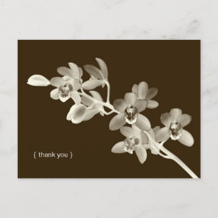 Cartão Postal Fotografia de flor de orquídea personalizada agrad