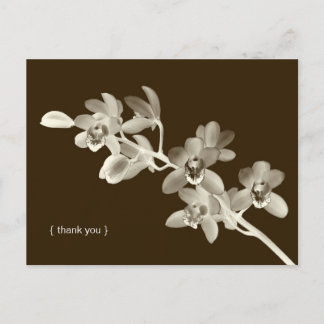 Cartão Postal Fotografia de flor de orquídea personalizada agrad