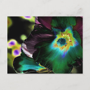 Cartão Postal Fotografia de Hibiscus Solarizada - Cartão-postal