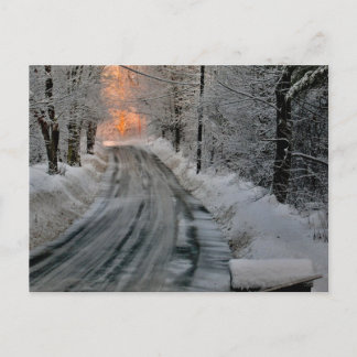 Cartão Postal Fotografia de Luz Solar numa Manhã de Inverno