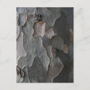 Cartão Postal Fotografia de macro de Latido de árvore