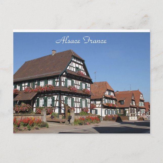 Cartão Postal Fotografia de Metade de Casas Timberadas Alsace Fr (Frente)