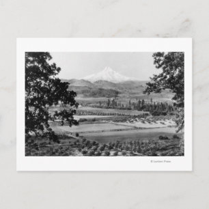 Cartão Postal Fotografia de Mt. Hood do Vale do Rio Hood
