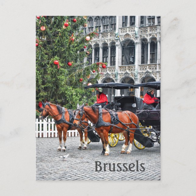Cartão Postal Fotografia de Natal Bruxelas Bélgica (Frente)